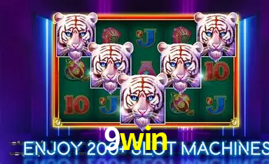 9win: A Experiência de Casino com Jogos de Mesa ao Vivo